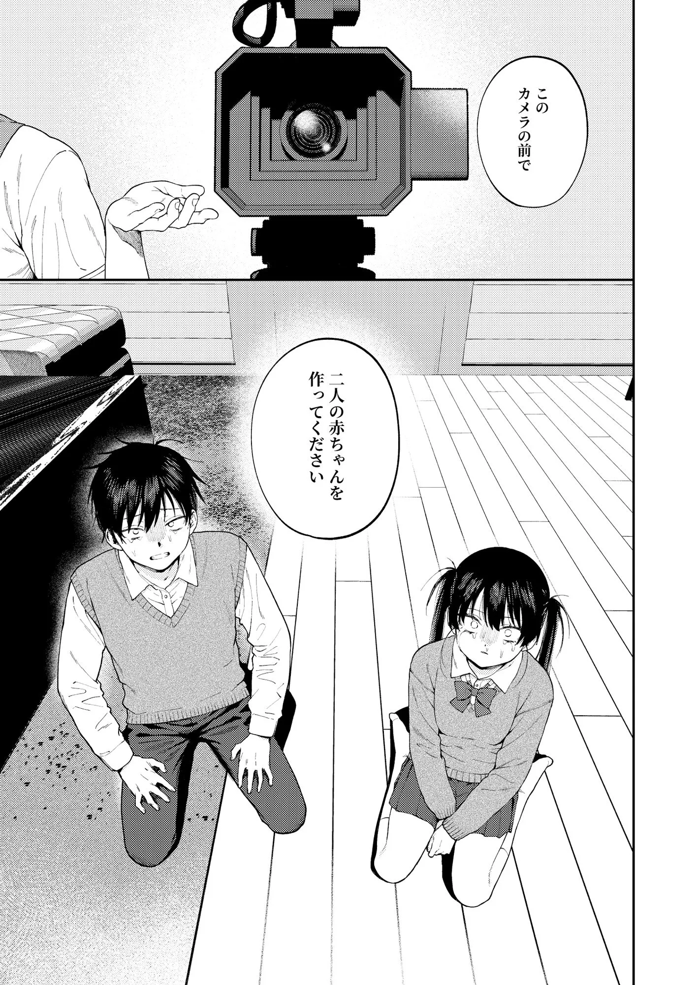 双子の兄妹強●近親相姦つがいじめ 画像4