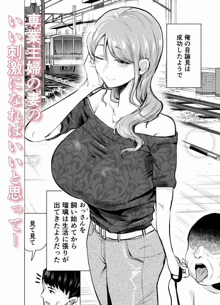 妻がおっさんに寝取られた話 画像3